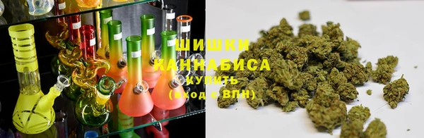 альфа пвп Гусев