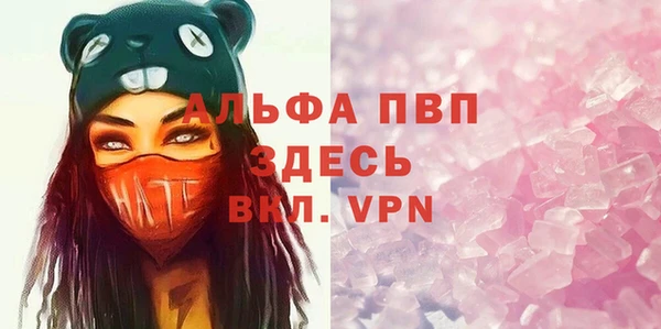 альфа пвп Гусев