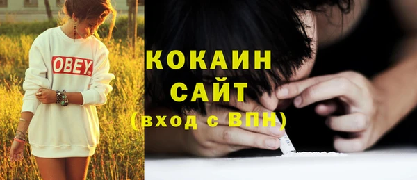 альфа пвп Гусев