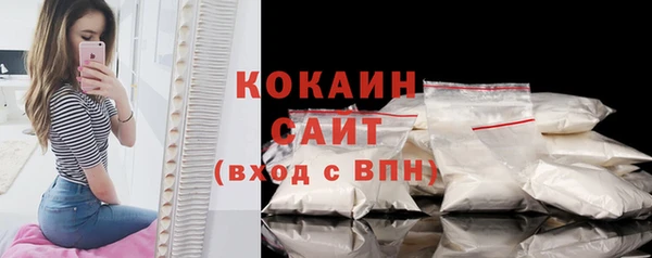 альфа пвп Гусев