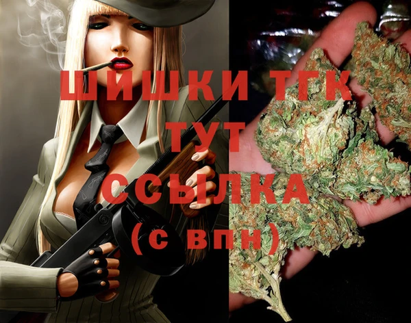 альфа пвп Гусев