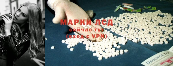 альфа пвп Гусев