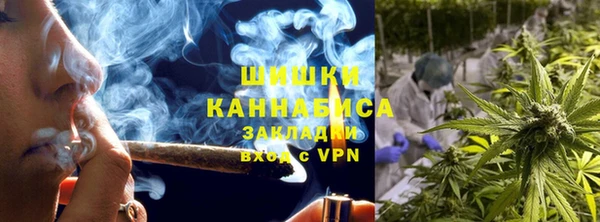 альфа пвп Гусев