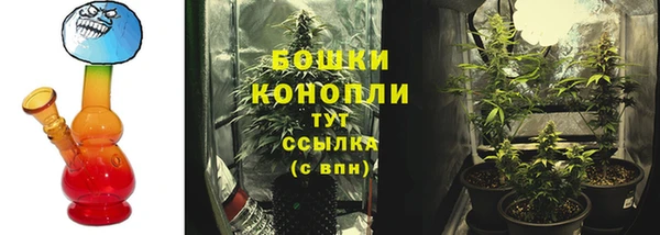 альфа пвп Гусев